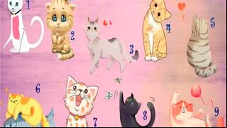 Solo elige un gato y conocerás cuál es tu verdadera personalidad
