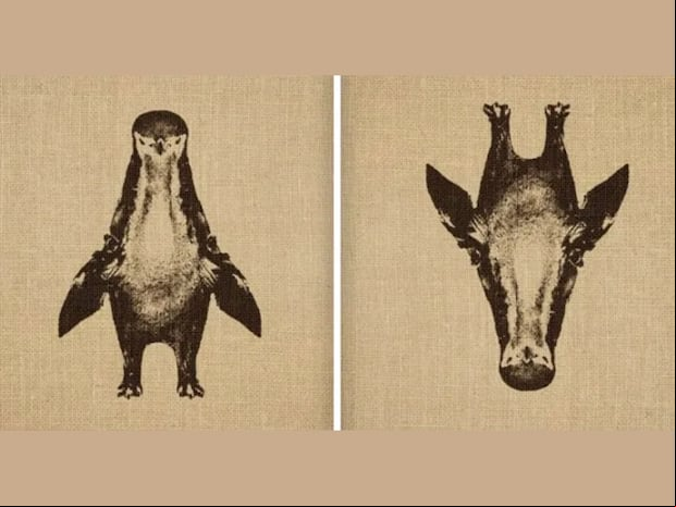 TEST VISUAL | ¿Un pingüino o una jirafa?
