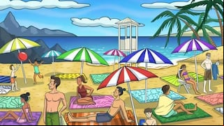 Encuentra el delfín camuflado en la playa en 10 segundos: ¿lograrás hacerlo?