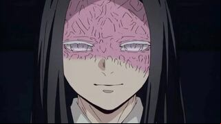 “Demon Slayer: Kimetsu no Yaiba”: la misteriosa enfermedad de Kagaya Ubuyashiki