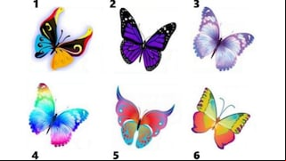 Elige la mariposa que más capte tu atención y te revelará aspectos inéditos de tu personalidad