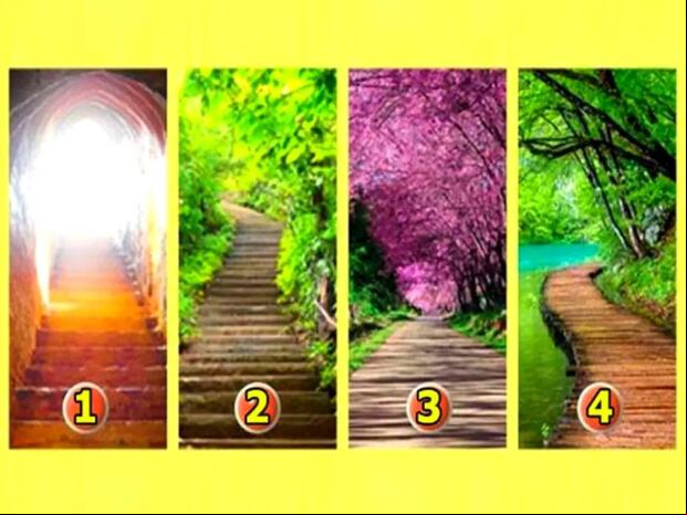 TEST VISUAL | Esta imagen te muestra varios caminos. Escoge uno. (Foto: namastest.net)