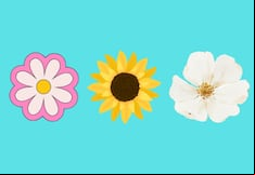 Choose one of the flowers in the image to discover your greatest virtue as a person