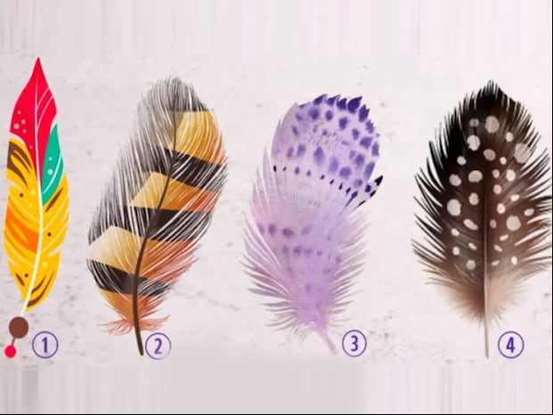 TEST VISUAL | Esta imagen te muestra cuatro plumas. Tienes que elegir una. (Foto: namastest.net)