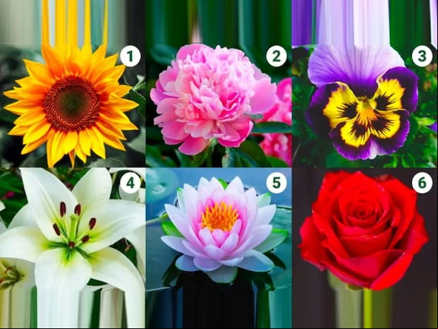 TEST VISUAL | Esta imagen te muestra seis flores distintas. Escoge una. (Foto: namastest.net)