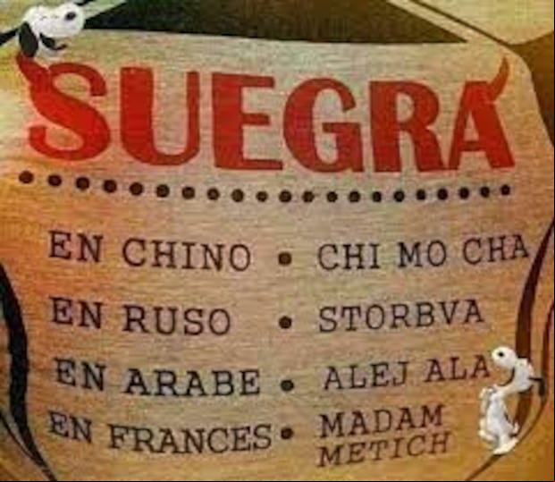 Memes por el Día Mundial de la Suegra. (Foto: Internet)