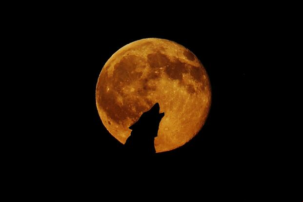 La primera luna llena de 2024 será la 'luna del lobo'. | Foto: Pixabay / Referencial
