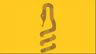 ¿Una botella o una serpiente? Lo que veas primero revelará si tienes una personalidad obsesiva