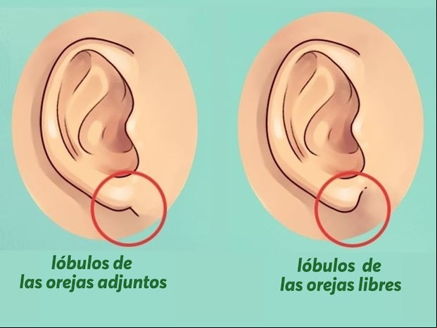 Descubre tus rasgos ocultos de personalidad, comportamiento, temperamento, fortalezas, debilidades, enfoque de la vida, carrera y relaciones.