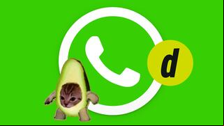 ¡Activa el “modo Potaxie” en WhatsApp! Te enseño cómo hacer en 1 minuto