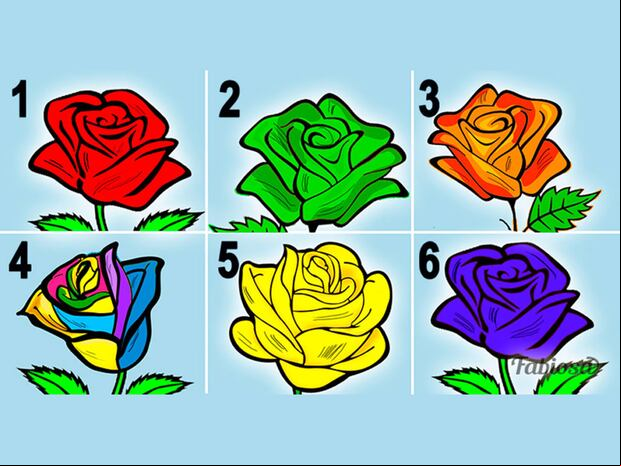 TEST VISUAL | Sumérgete en un análisis intrigante que revela aspectos de tu personalidad basados en tus preferencias florales. | fabiosa