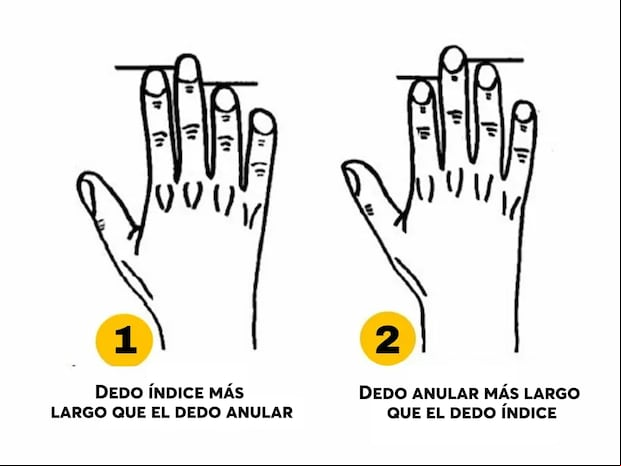 TEST DE PERSONALIDAD | Este intrigante test de personalidad se sumerge en el terreno inexplorado de la longitud de tus dedos para ofrecer revelaciones sorprendentes sobre tu carácter.