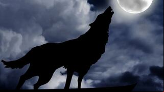 ¿Dónde ver hoy la Luna del Lobo en vivo desde USA, México y España?