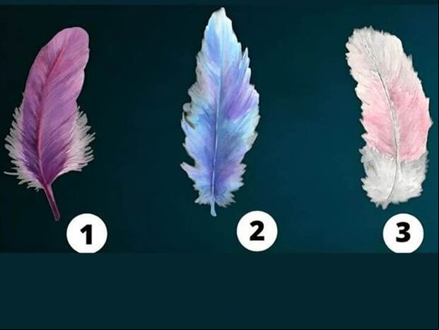 Test de personalidad: Elige una pluma y descubre tu fuerza interior.
