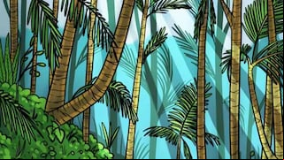 ¿Puedes encontrar al tigre escondido en la jungla en solo 6 segundos? ¡Descúbrelo!
