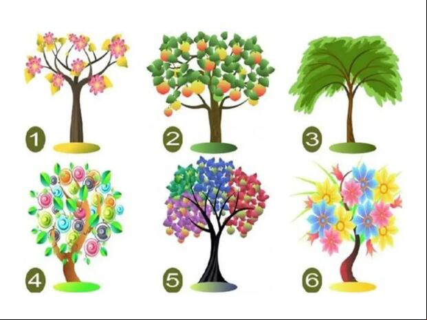 TEST VISUAL | Esta imagen te muestra seis árboles. Indica cuál es el que te gustaría plantar en tu jardín. (Foto: namastest.net)