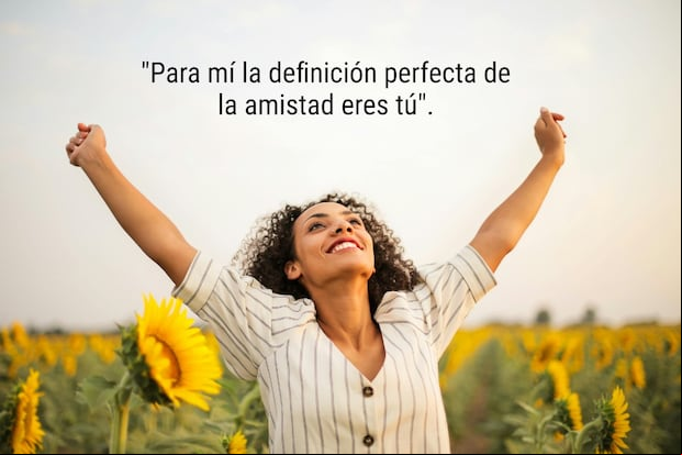FRASES | Este 21 de septiembre es una gran oportunidad para recordarle a tu amiga cuánto la valoras y quieres con unas flores amarillas. (Foto: Foto de Andrea Piacquadio / Pexels)