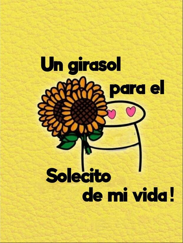 Imágenes de flores amarillas para compartir este 21 de marzo en redes sociales (Foto: Pinterest).