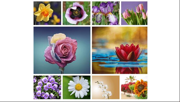 TEST DE PERSONALIDAD | ¿Te gustaría saber qué flor refleja tu personalidad? Este test divertido y sencillo te revelará aspectos interesantes sobre ti. ¡Es hora de florecer!