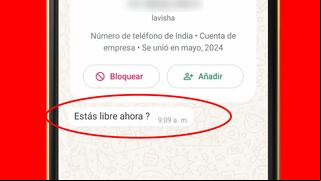 Se acabó el spam: este botón de WhatsApp Beta evitará que recibas mensajes de desconocidos
