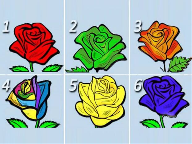 TEST VISUAL | Esta imagen te muestra seis rosas distintas. ¿Cuál es tu favorita? (Foto: namastest.net)