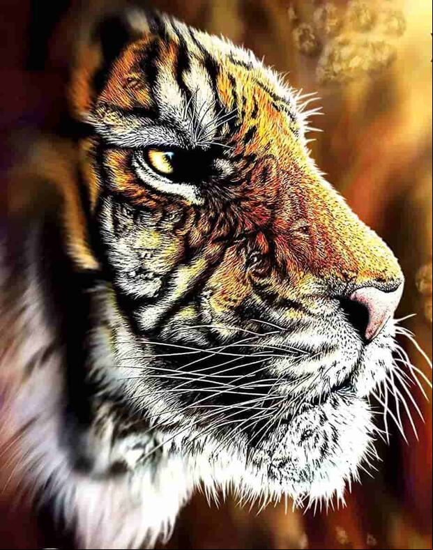 ACERTIJO VISUAL | Esta imagen de ilusión óptica tiene cuatro tigres ocultos. ¿Puedes verlos todos en 9 segundos? | S. Gardner