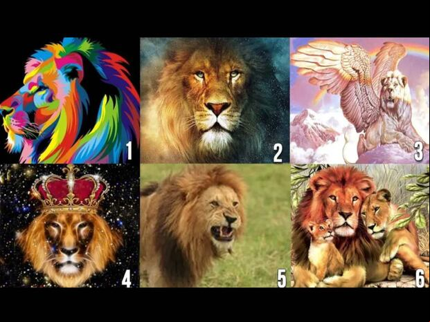 TEST VISUAL | Esta imagen te muestra muchos leones. Tienes que elegir el que más te guste. (Foto: namastest.net)