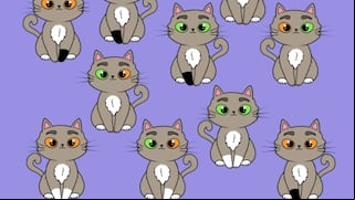 Reto visual: encuentra en 10 segundos al gato diferente en la imagen
