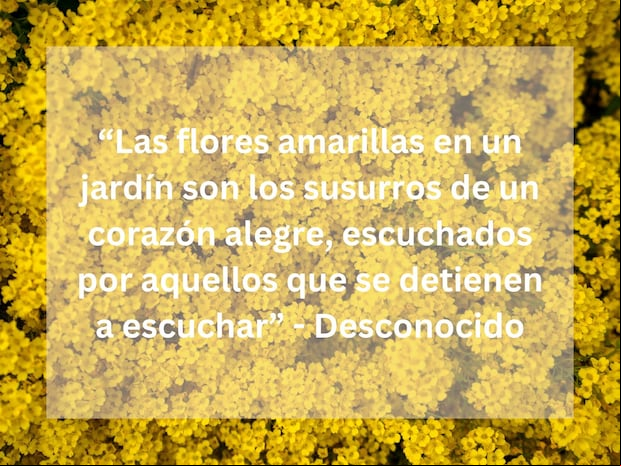 "Las flores amarillas en un jardín son los susurros de un corazón alegre, escuchados por aquellos que se detienen a escuchar" - Desconocido. | Foto de Artiom Vallat en Unsplash / Composición Mix