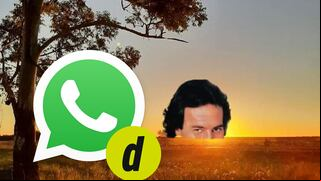 ¿Quieres enviar por WhatsApp los memes de Julio Iglesias por julio? Aquí los mejores