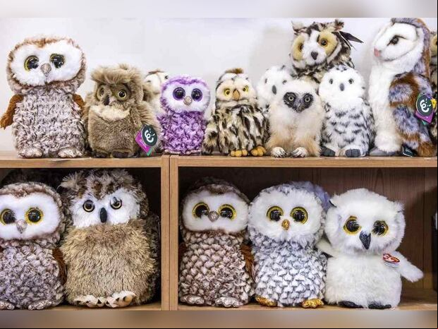DESAFÍO VISUAL | Aquí tenemos una imagen de peluches. Pero ojo que también hay un búho real escondido en la instantánea. ¿Puedes detectarlo en 8 segundos o menos? | jagranjosh