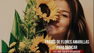 50 frases para usar en la dedicatoria de tus flores amarillas este 21 de septiembre