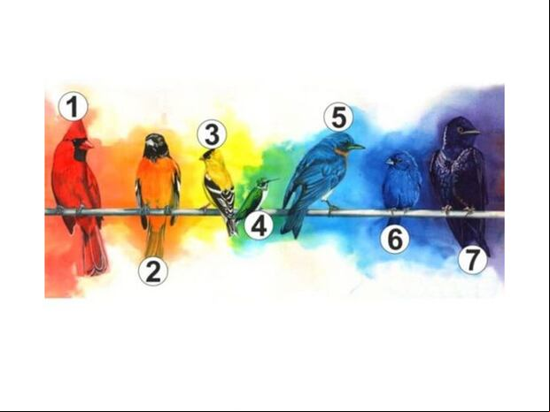 TEST DE PERSONALIDAD | ¿Sientes que algo te falta? Este test te ayudará a descubrir cuál es tu necesidad más profunda, representada por un pájaro. ¡Descubre qué mensaje te envía tu intuición!