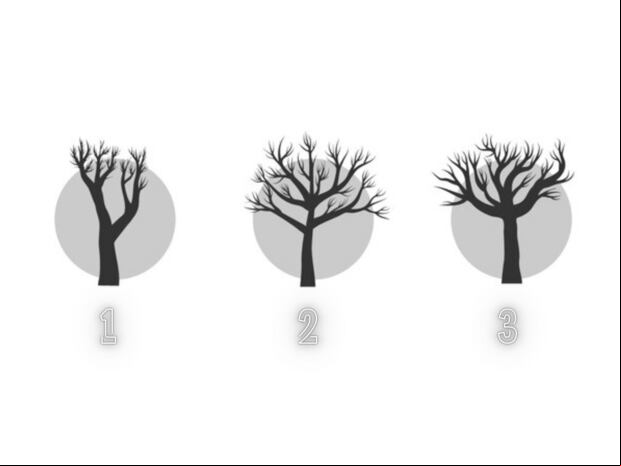 TEST VISUAL | Cada árbol está dispuesto a revelarte una interesante información sobre tu personalidad. (Foto: Composición Freepik / Depor)