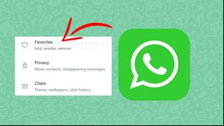 WhatsApp: por qué agregaron el nuevo ajuste “Favoritos”