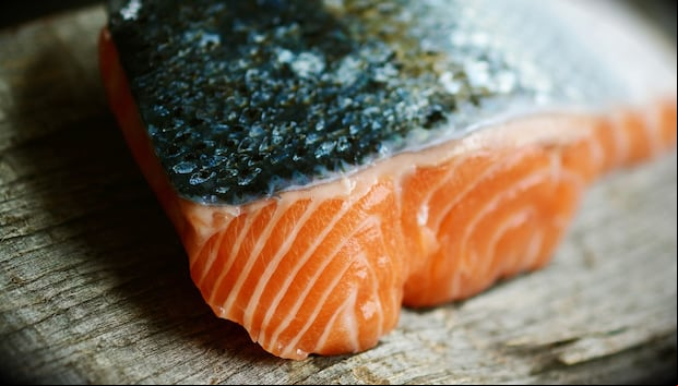En esta imagen se puede apreciar el pescado que debes comer si es que quieres marcar tus abdominales. (Foto: congerdesign / Pixabay)