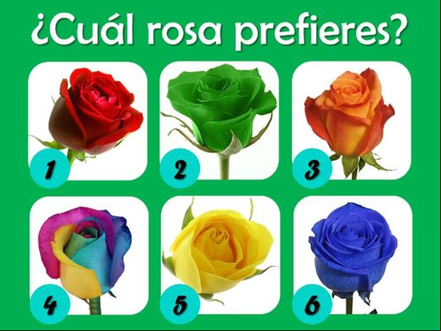 TEST VISUAL | Cada elección es un vistazo a tu ser interior. ¡Sumérgete en esta prueba única y descubre qué revela tu flor favorita sobre ti!