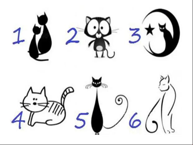 TEST VISUAL | Esta imagen te muestra muchos gatos y tú debes escoger uno. (Foto: namastest.net)