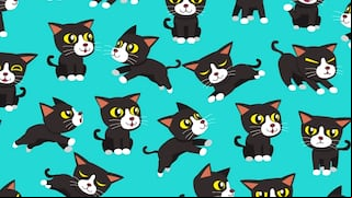 Reto visual: encuentra a los 3 gatos sin cola en menos de 10 segundos