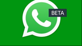 ¡No pierdas tiempo! Con este truco podrás unirte a la Beta de WhatsApp