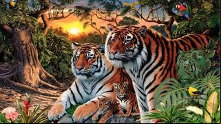 ¿Podrás encontrar a los 16 tigres que se esconden en la imagen? 1 de cada 10 lo logra