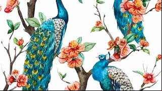 ¿Puedes ver a la cacatúa oculta en la imagen? Pon a prueba tu vista con este reto