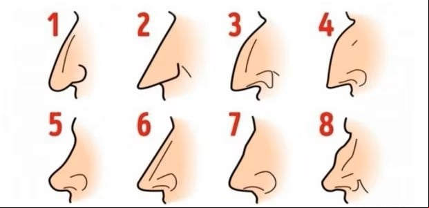 Test de personalidad: responde de qué tipo es tu nariz y revela un problema mental tuyo. (Foto: Genial.Guru)