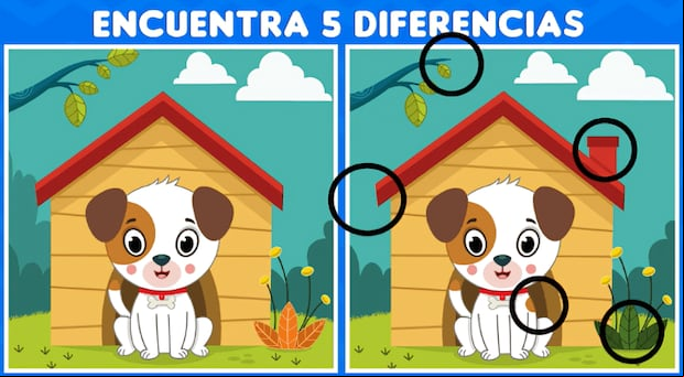 Respuesta al acertijo visual (Foto: GenialGuru)