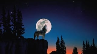 ¿A qué hora se pudo observar la Luna Llena del Lobo este jueves 25 de enero?