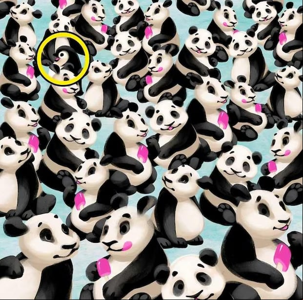Reto visual: ¿lograrás descubrir al pingüino camuflado entre los pandas en solo 5 segundos? (Foto: Depor)