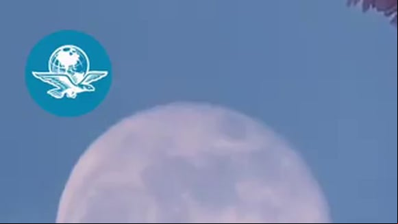 Este 25 de enero se podrá observar la Luna de Lobo. (Video: El Universal Hidalgo)