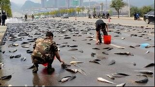 Lluvia de peces en Irán: ¿qué es, por qué ocurre este fenómeno y qué significa?