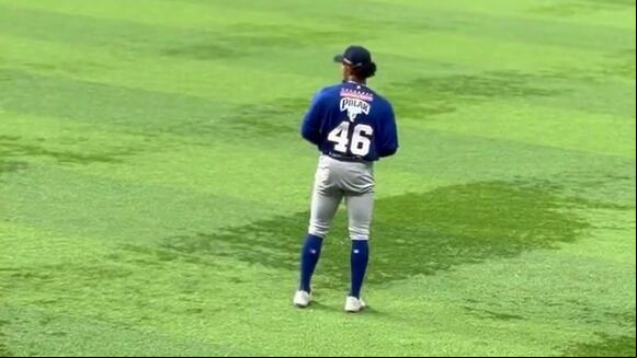 Tiburones y Federales se enfrentan por la Serie del Caribe 2024. (Video: @TiburonesReport)
